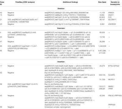 Investigation of Chromosomal Structural Abnormalities in Patients With Undiagnosed Neurodevelopmental Disorders